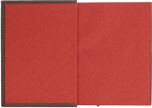 Красная книга ВЧК. В 2-х томах. фото 5
