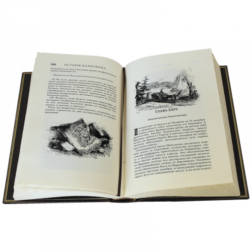 де л’Ардеш П.М.Л. История Императора Наполеона. 1-й полный перевод по изданию 1840 года. фото 2