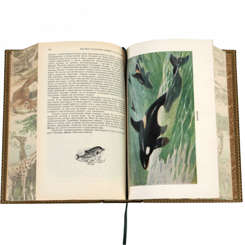 Брэм А. Жизнь животных - 5 томов. Антикварное издание (1937-1948 гг.) фото 32