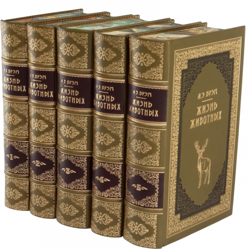Брэм А. Жизнь животных - 5 томов. Антикварное издание (1937-1948 гг.) фото 34
