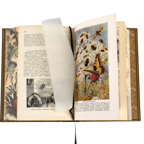 Брэм А. Жизнь животных - 5 томов. Антикварное издание (1937-1948 гг.) фото 15