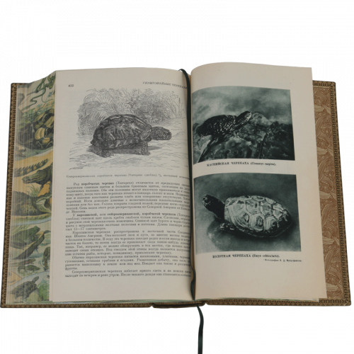 Брэм А. Жизнь животных - 5 томов. Антикварное издание (1937-1948 гг.) фото 21