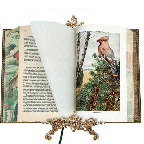 Брэм А. Жизнь животных - 5 томов. Антикварное издание (1937-1948 гг.) фото 3