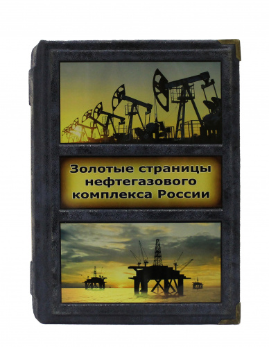 Золотые страницы нефтегазового комплекса России: люди, события, факты фото 3