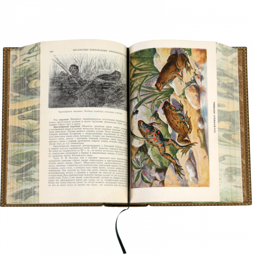 Брэм А. Жизнь животных - 5 томов. Антикварное издание (1937-1948 гг.) фото 20