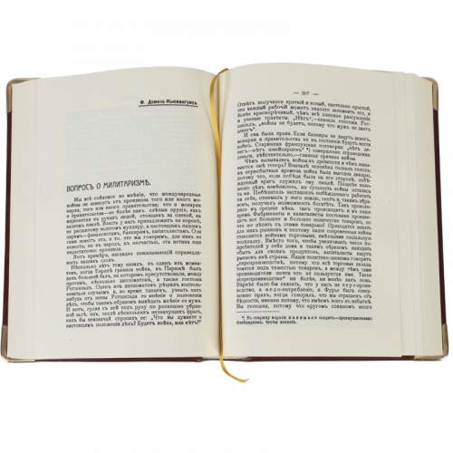 Анархизм. Сборник 2 репринтных книг (1907-1926 гг.) фото 3